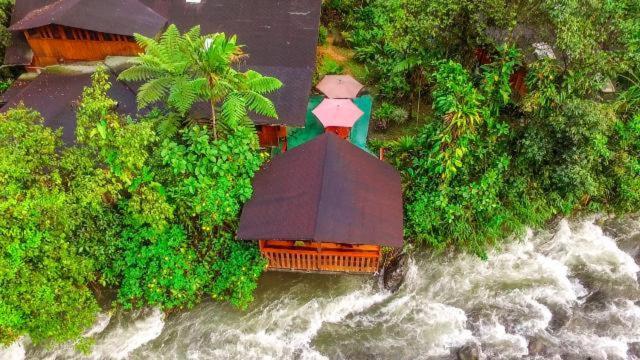 Mindo Garden Lodge And Wildlife Reserve Экстерьер фото