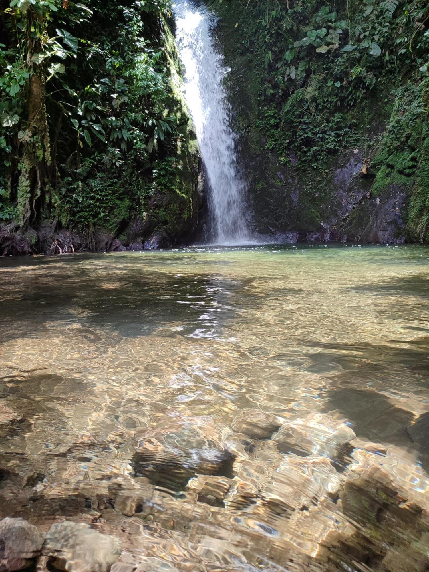 Mindo Garden Lodge And Wildlife Reserve Экстерьер фото