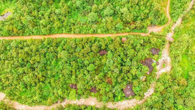 Mindo Garden Lodge And Wildlife Reserve Экстерьер фото