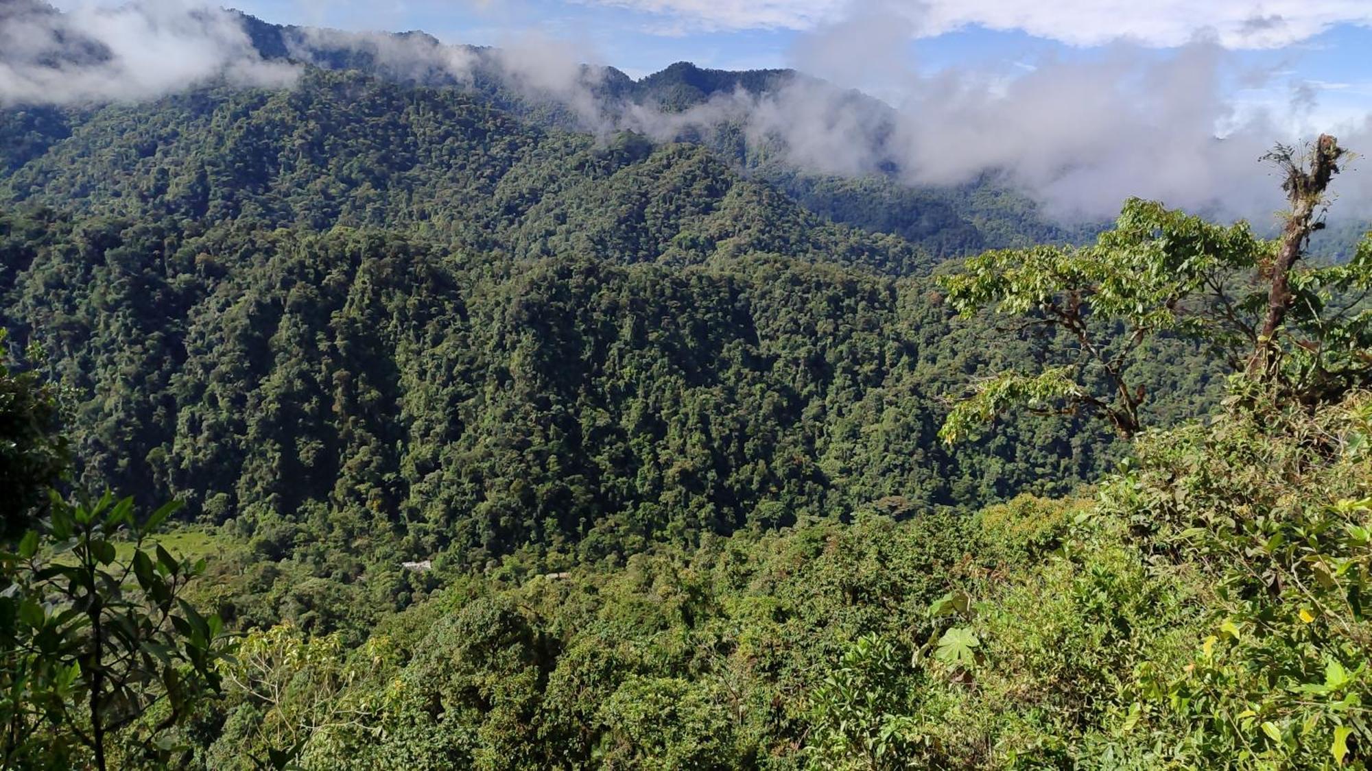 Mindo Garden Lodge And Wildlife Reserve Экстерьер фото