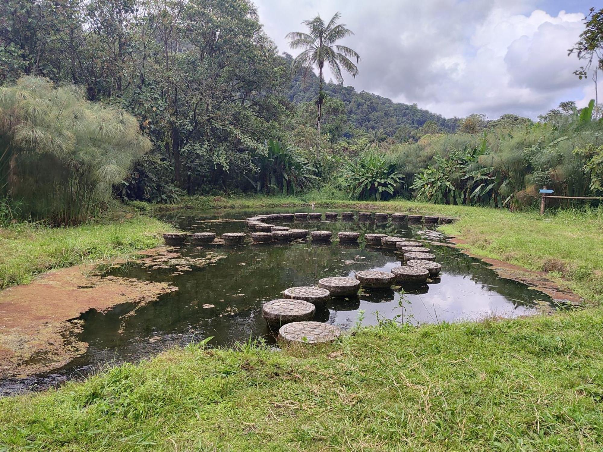 Mindo Garden Lodge And Wildlife Reserve Экстерьер фото