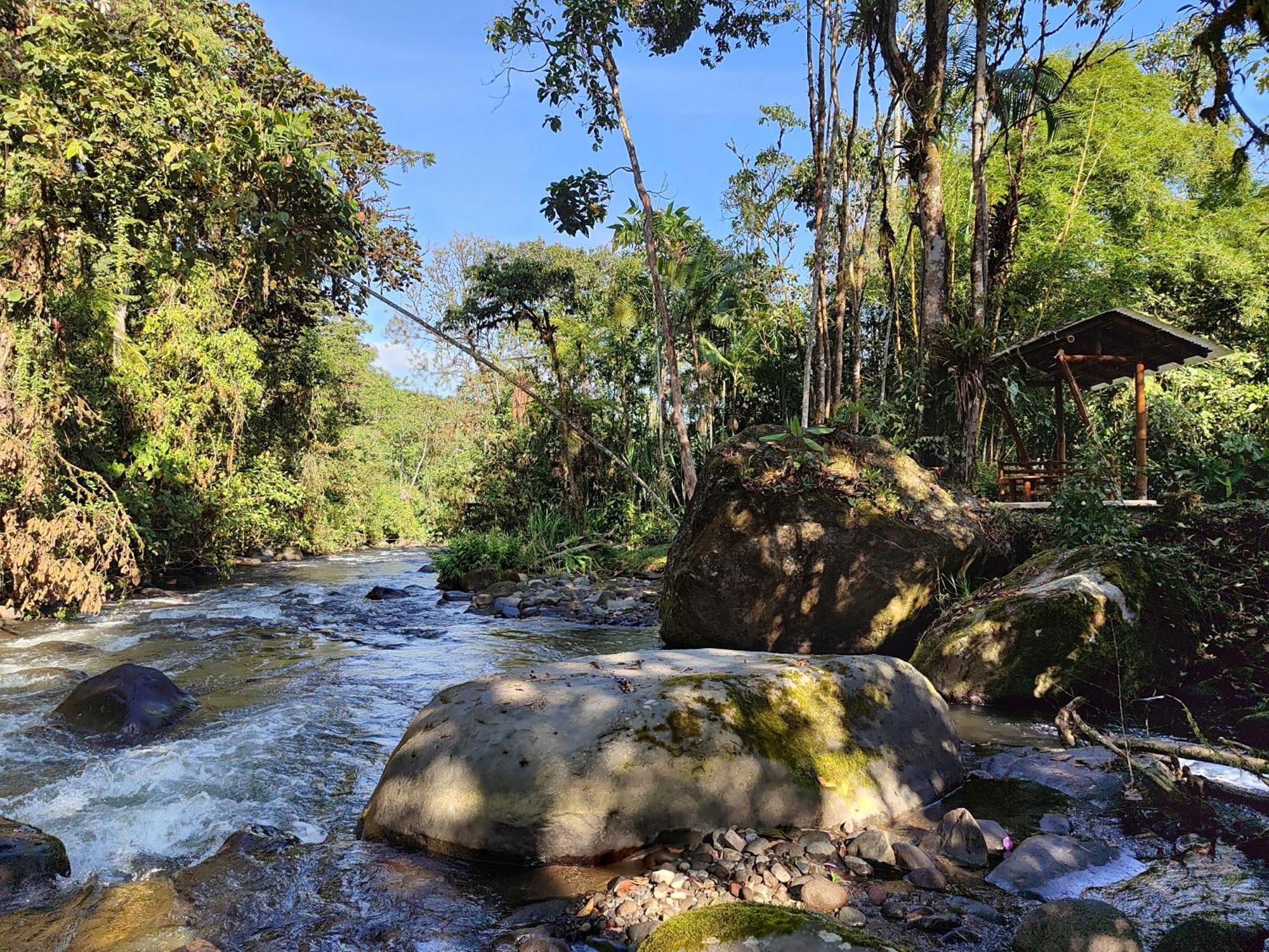Mindo Garden Lodge And Wildlife Reserve Экстерьер фото