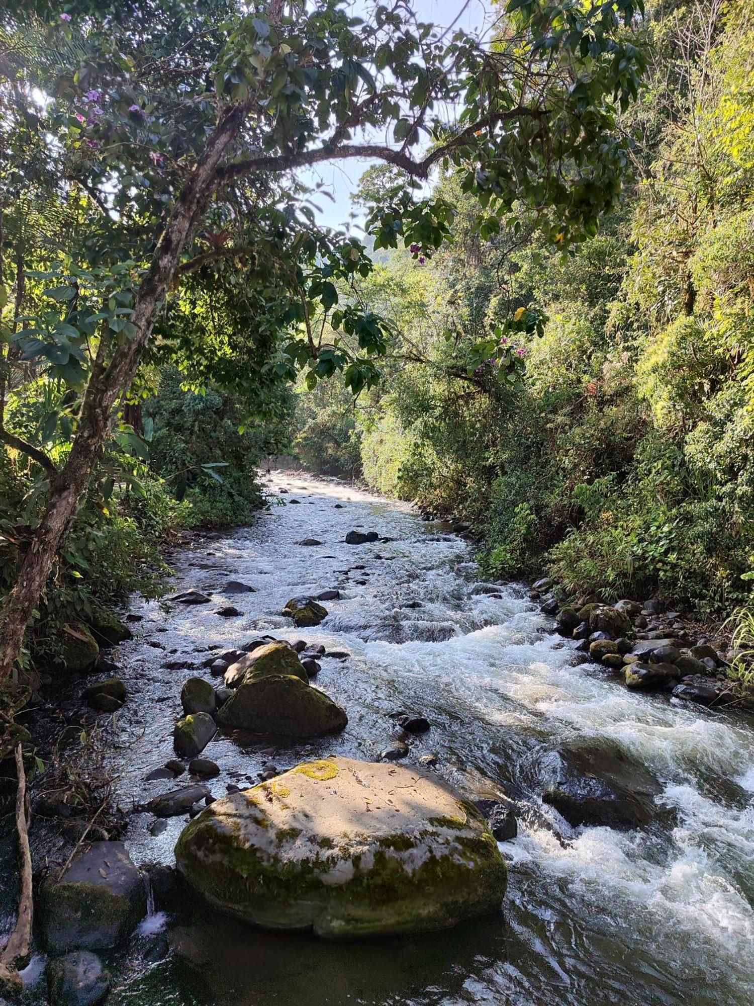 Mindo Garden Lodge And Wildlife Reserve Экстерьер фото