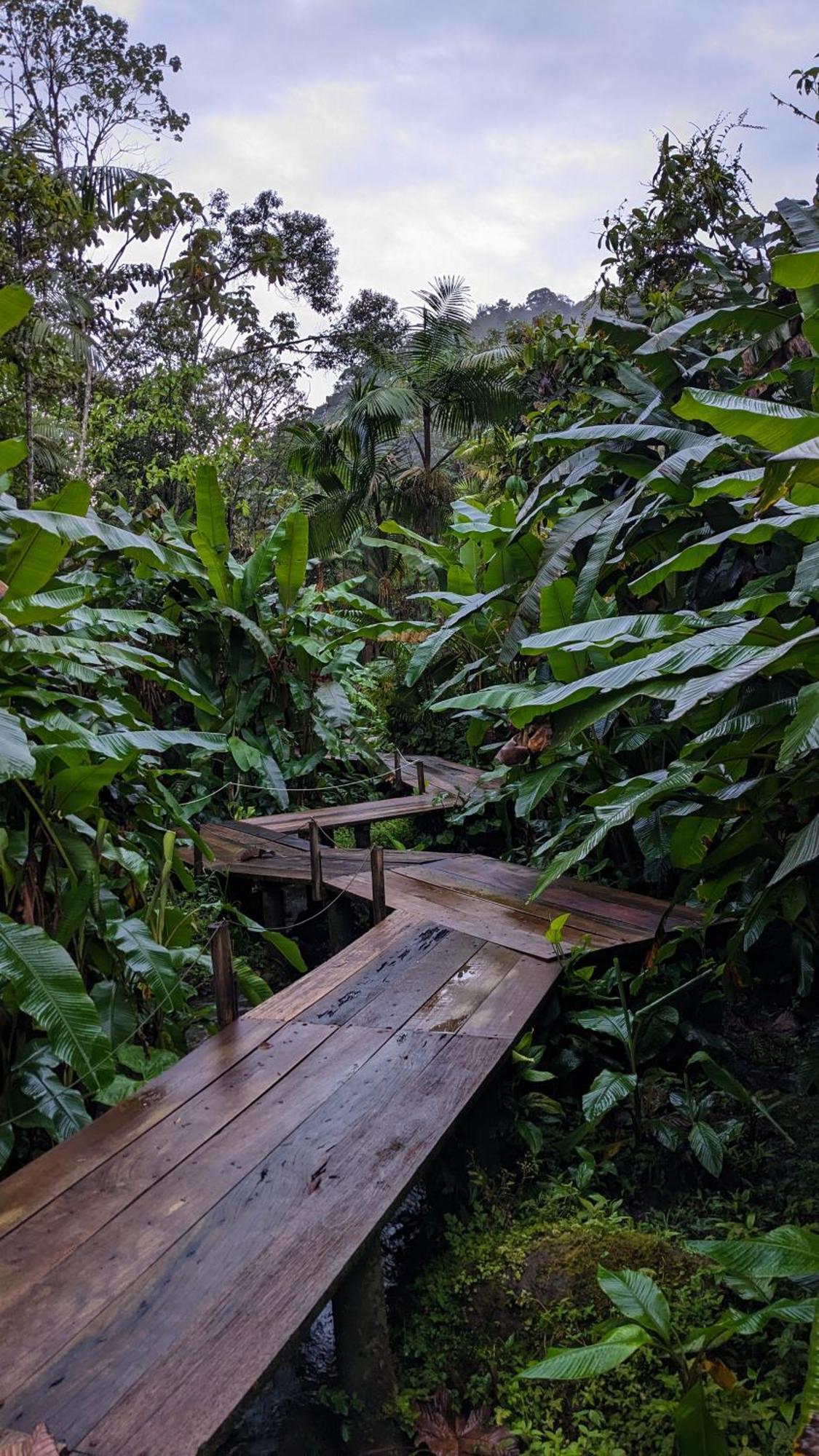 Mindo Garden Lodge And Wildlife Reserve Экстерьер фото