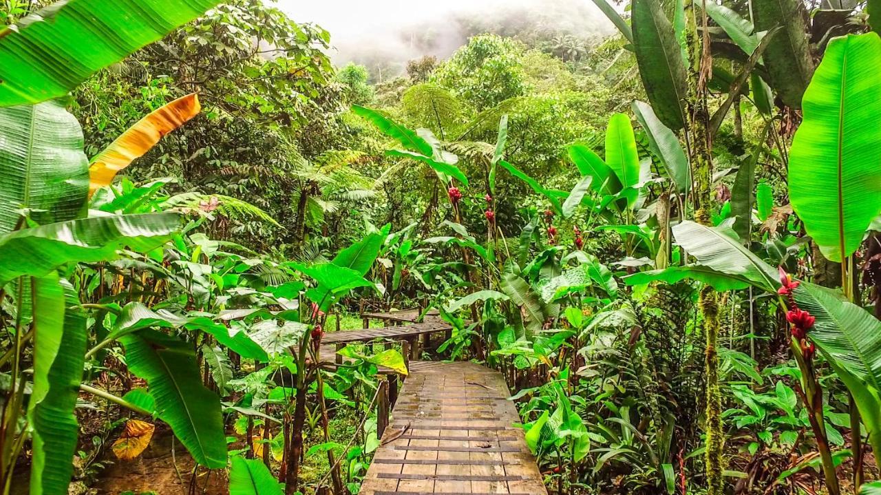 Mindo Garden Lodge And Wildlife Reserve Экстерьер фото